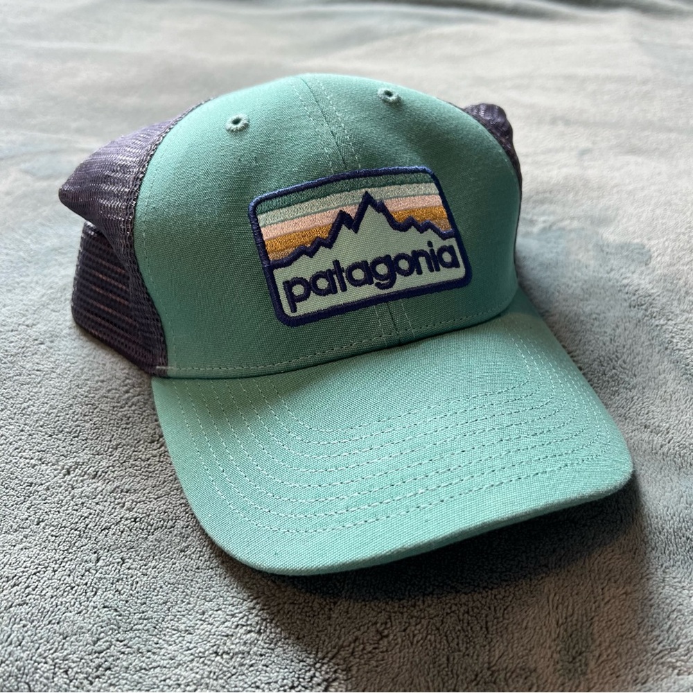 Patagonia trucker hat